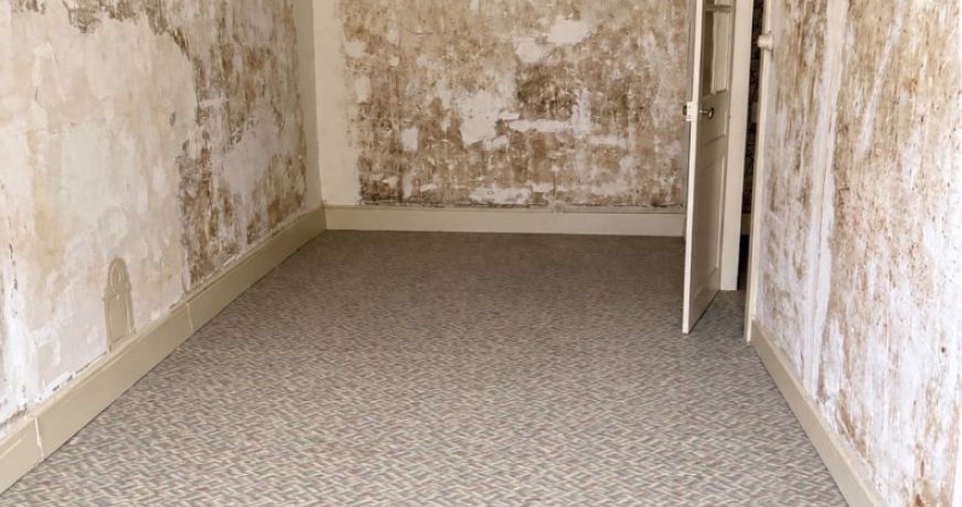 vente Maison Chenerailles