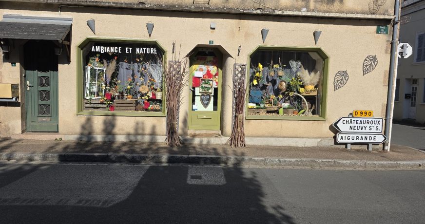 vente Local commercial Cluis