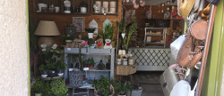 vente Local commercial Cluis