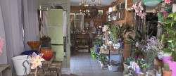 vente Local commercial Cluis