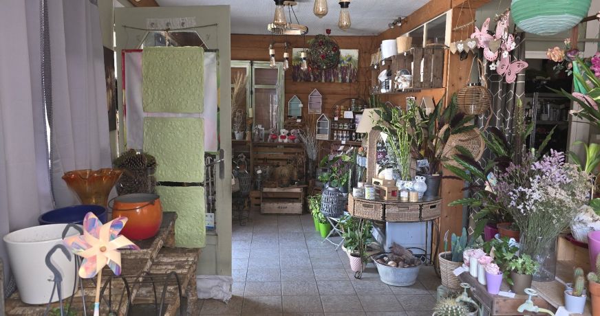 vente Local commercial Cluis