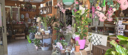 vente Local commercial Cluis