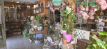 vente Local commercial Cluis