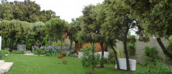 vente Maison Sorgues