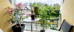 vente Appartement PloËrmel