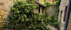 vente Maison Chenerailles