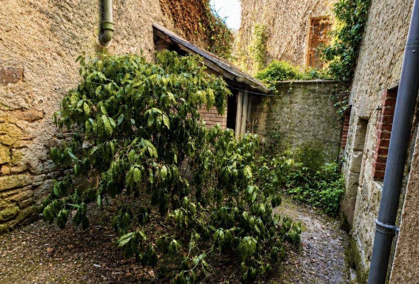 vente Maison Chenerailles - Photo 10