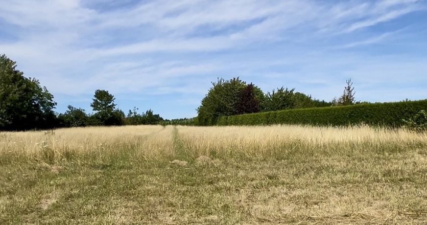 vente Terrain constructible Marquion