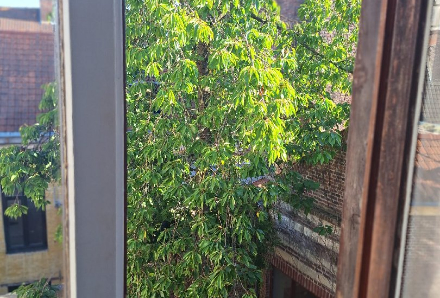 vente Appartement Lille - Photo 5