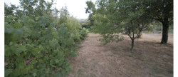 vente Terrain Maure De Bretagne