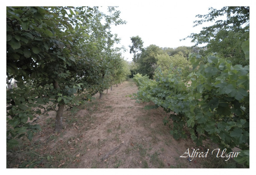 vente Terrain Maure De Bretagne - Photo 4