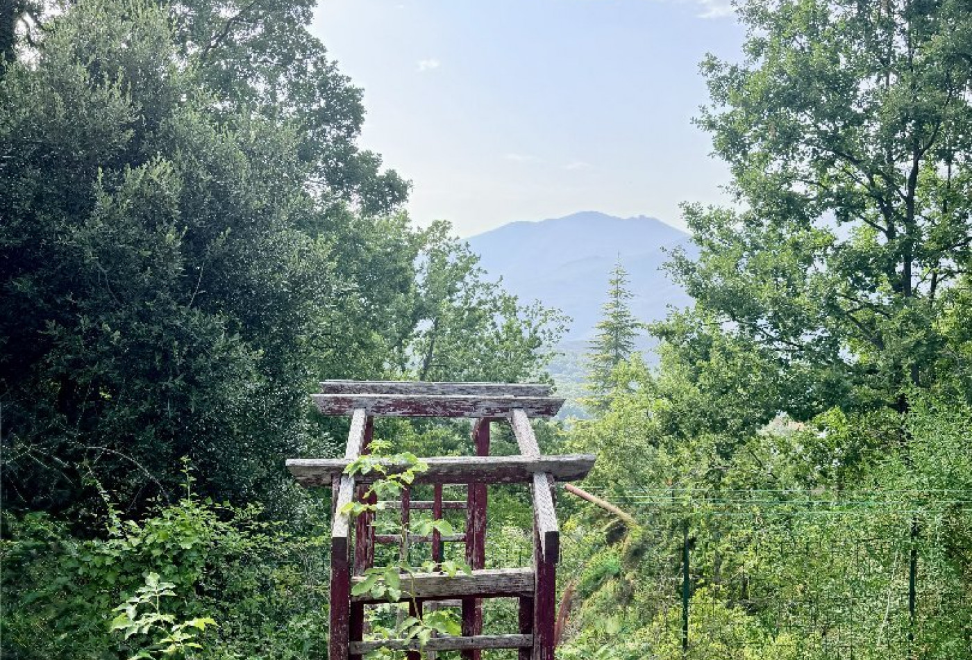 vente Maison Valle Di Rostino - Photo 9