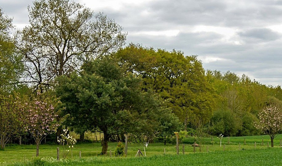 vente Terrain Evriguet - Photo 3