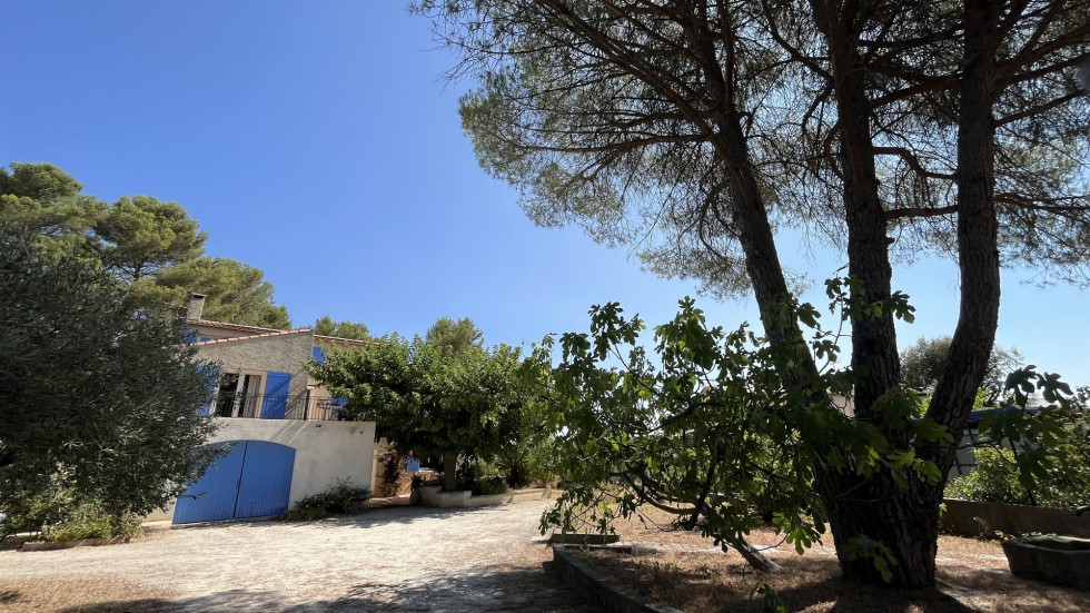 vente Maison Langlade - Photo 1