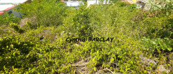 vente Terrain constructible Case Pilote
