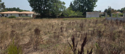vente Terrain constructible Le Teich