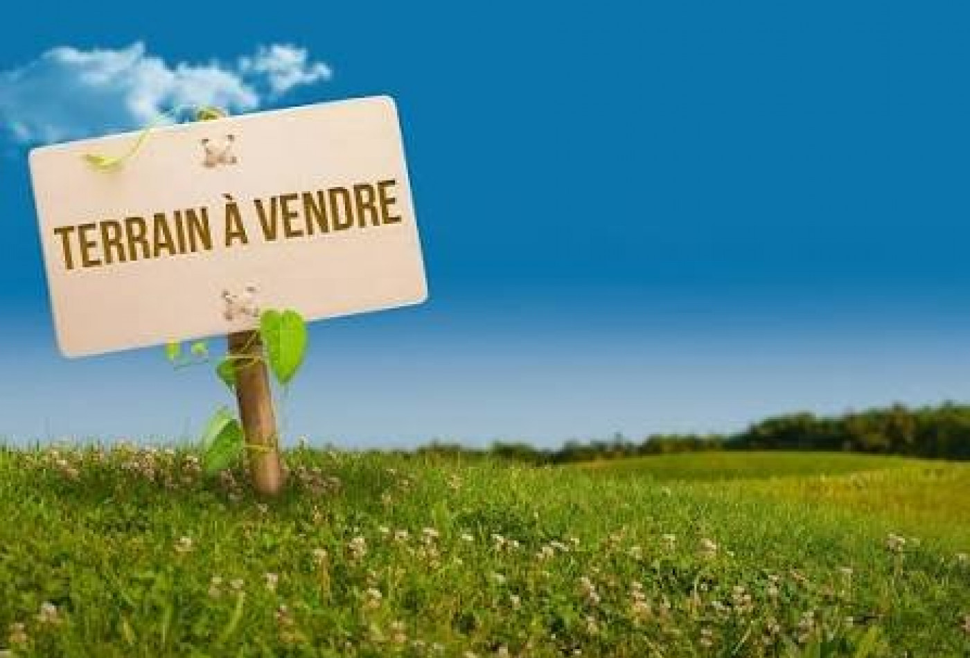 vente Terrain constructible Le Teich - Photo 1