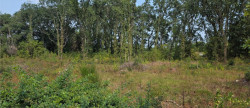 vente Terrain constructible Le Teich