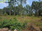 vente Terrain constructible Le Teich