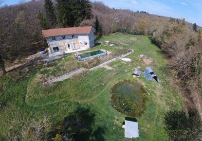 vente Maison rénovée Saint Jean De Bournay