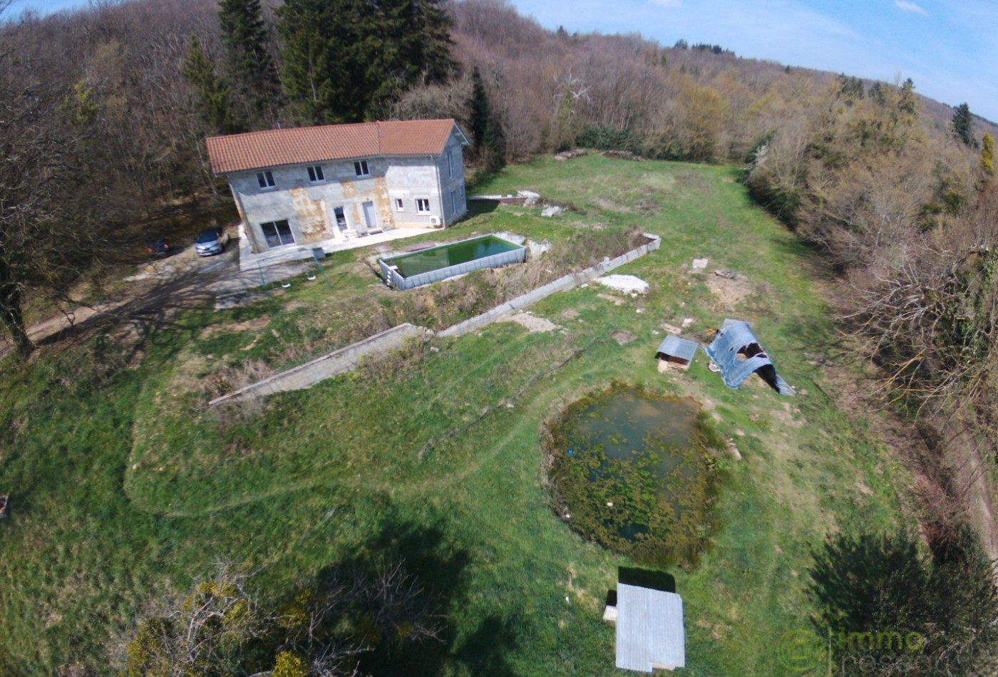vente Maison rénovée Saint Jean De Bournay - Photo 1