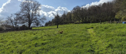 vente Terrain constructible Semons