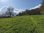 vente Terrain constructible Semons
