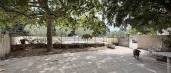 vente Ensemble immobilier Montfavet