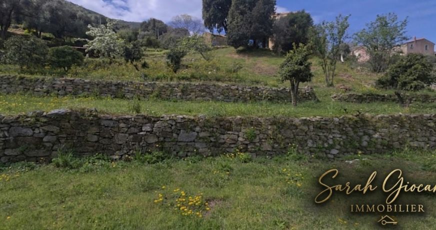 vente Terrain Alata