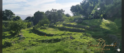 vente Terrain Alata