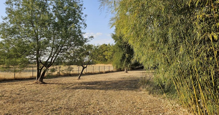 vente Maison individuelle Rosnay