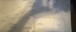 vente Terrain Piedigriggio