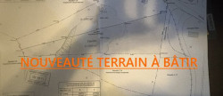 vente Terrain Piedigriggio