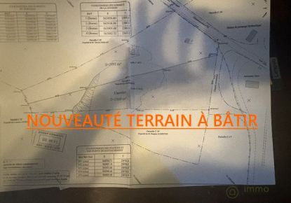 vente Terrain Piedigriggio