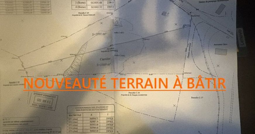 vente Terrain Piedigriggio