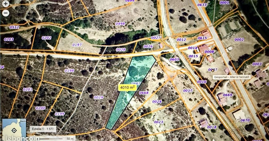 vente Terrain Piedigriggio