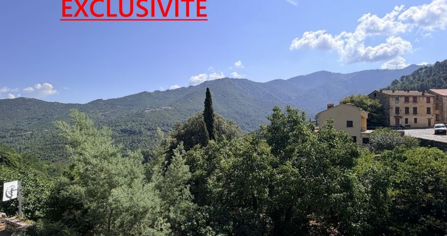 vente Appartement Vivario
