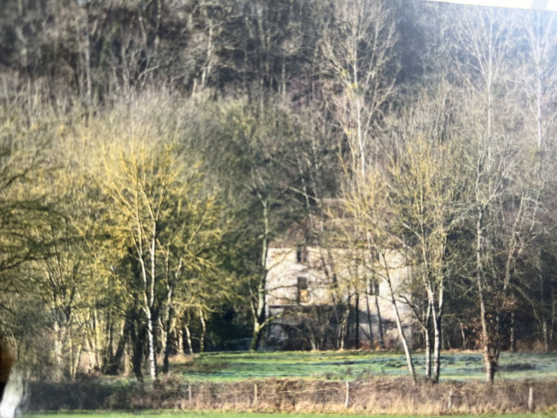 vente Propriété pied dans l'eau Saint Hilaire Sur Benaize - Photo 6