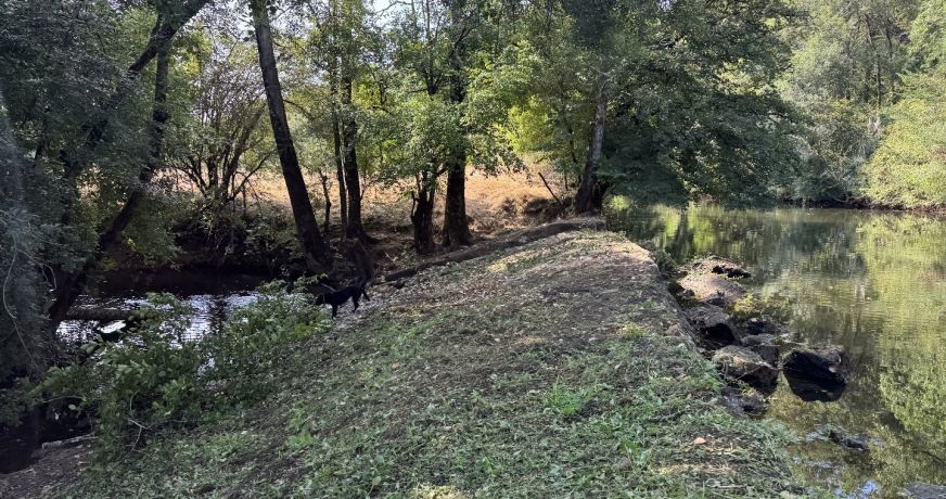 vente Maison Saint Hilaire Sur Benaize