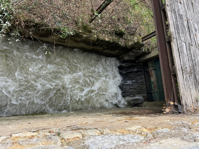vente Propriété pied dans l'eau Saint Hilaire Sur Benaize - Photo 10