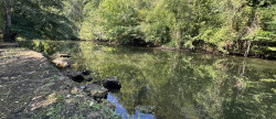 vente Propriété pied dans l'eau Saint Hilaire Sur Benaize