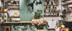 vente Fleuriste Paris 17eme Arrondissement