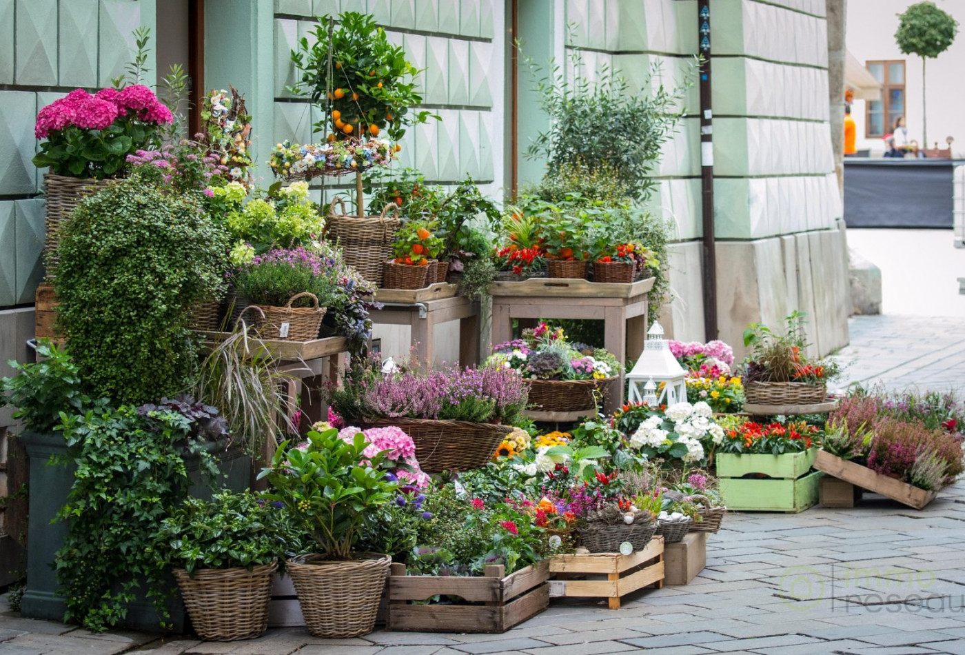 vente Fleuriste Paris 17eme Arrondissement - Photo 3