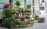 vente Fleuriste Paris 17eme Arrondissement