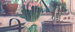 vente Fleuriste Paris 17eme Arrondissement