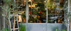 vente Fleuriste Paris 17eme Arrondissement