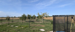 vente Maison et dépendances Navilly