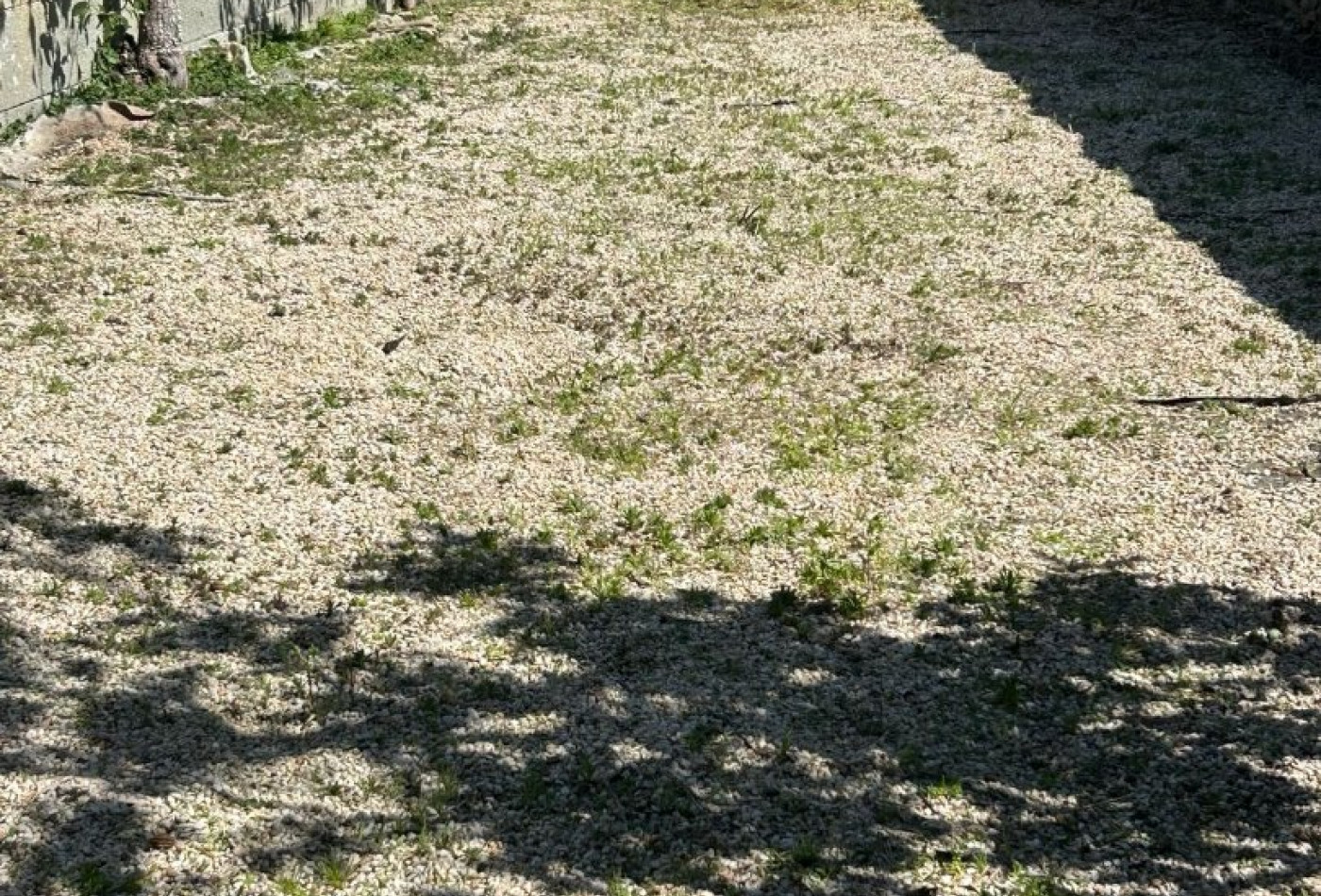 vente Maison La Chataigneraie - Photo 2