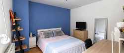 vente Maison Nieppe