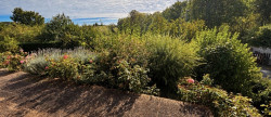 vente Maison Saint Chabrais